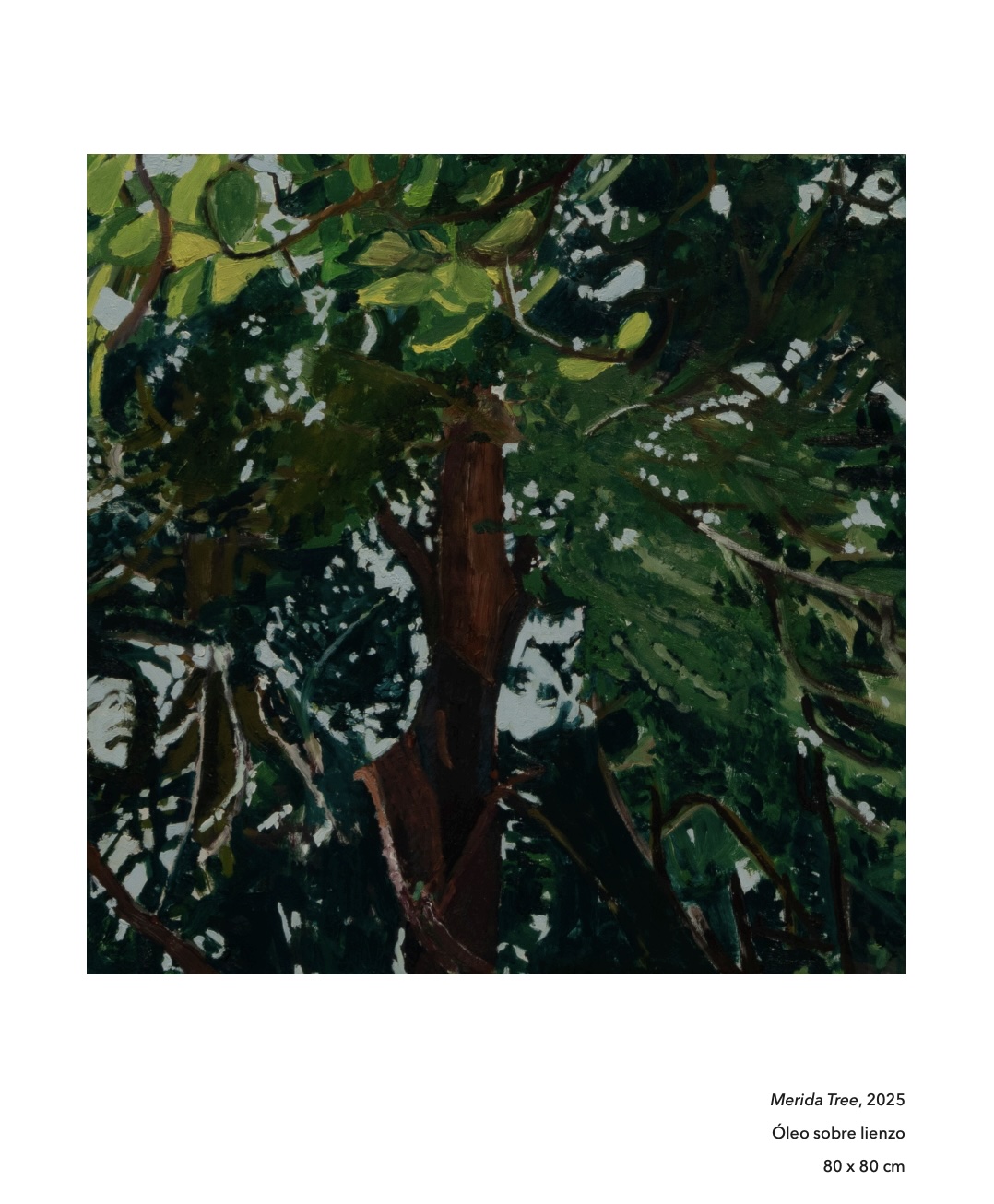 Jungle 20 